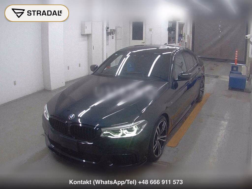 BMW 5 SERIES 4D 4WD 523D XDRIVE M SPIRIT, miniaturka 5