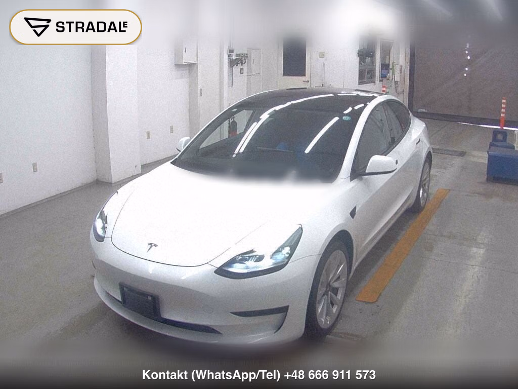 TESLA MODEL 3 STANDARD RANGE PLUS, miniaturka 5