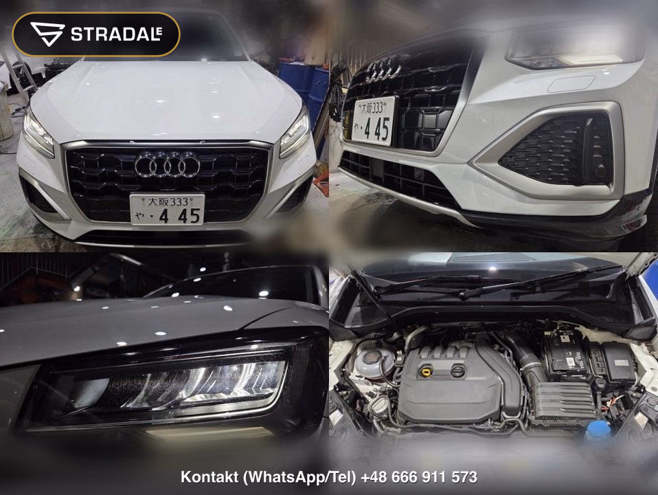AUDI Q2 OTHERS, miniaturka 11