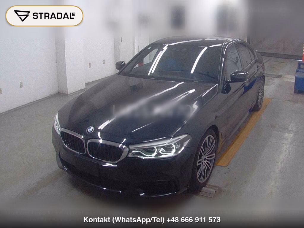 BMW 5 SERIES 4D 523I M-SPORT, miniaturka 5