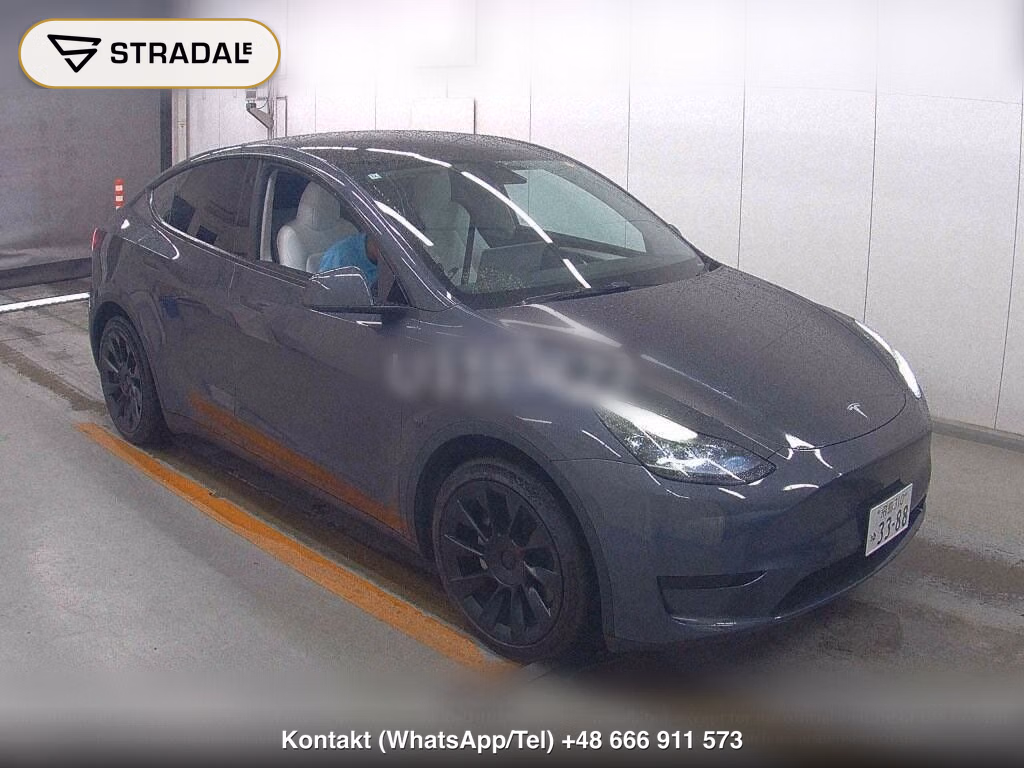 TESLA MODEL Y RWD, miniaturka 2