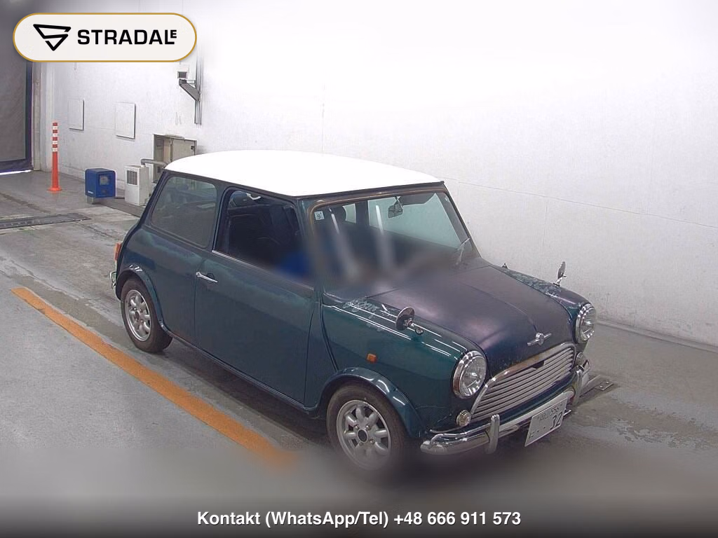 ROVER MINI 2D 1994, aukcja z Japonii, zdjęcie 1