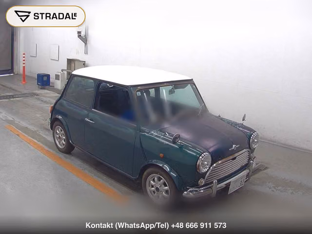 ROVER MINI 2D 1994, samochód z aukcji Japonii