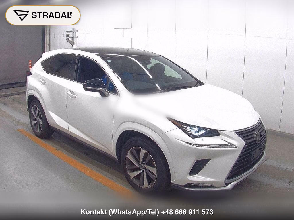 LEXUS NX NX300 SPECIAL EDITION SPICE AND CHIC, miniaturka 2