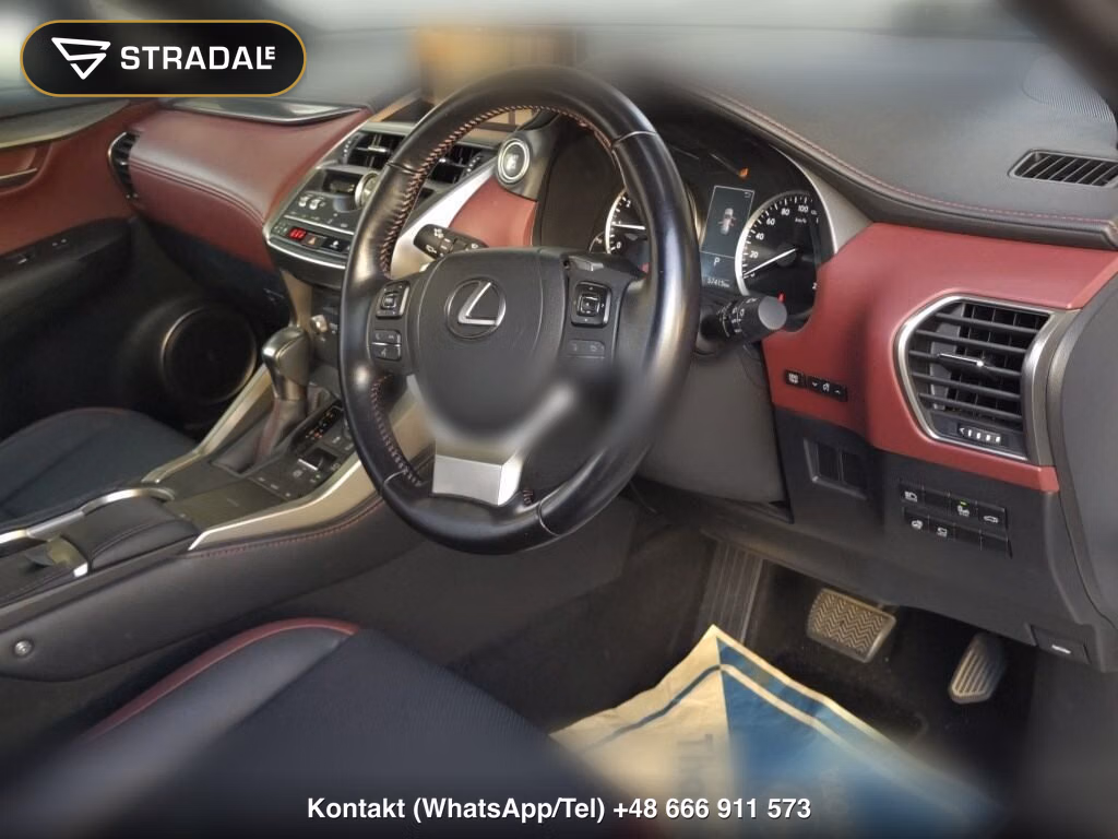 LEXUS NX NX300 SPECIAL EDITION SPICE AND CHIC, miniaturka 4