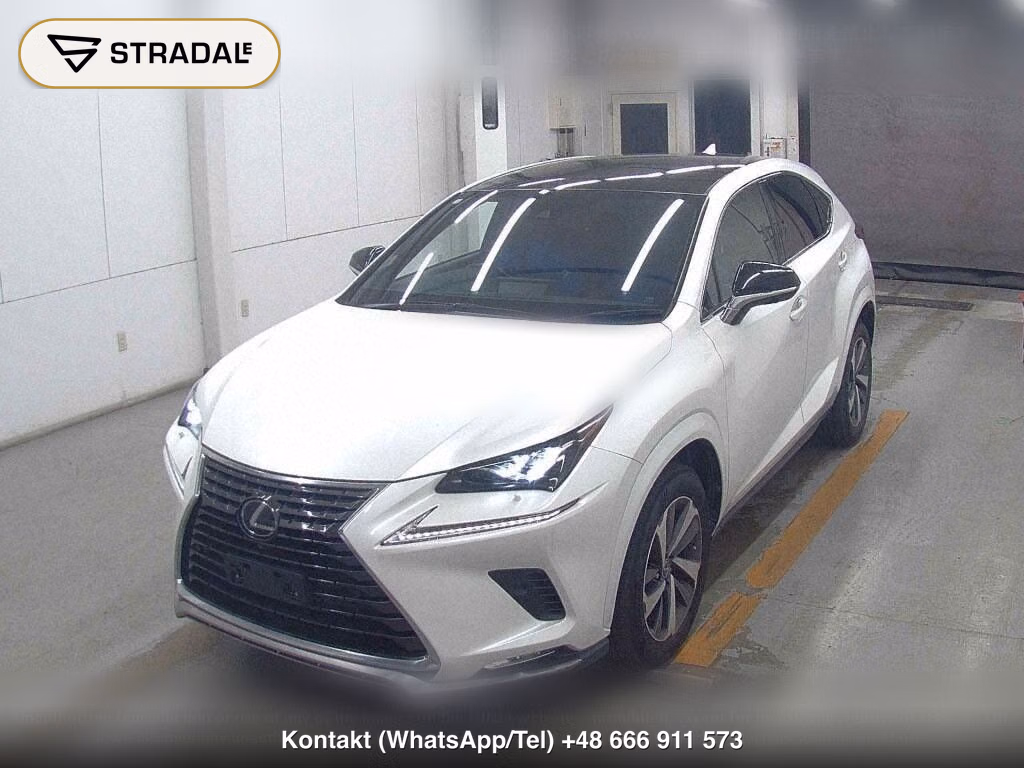 LEXUS NX NX300 SPECIAL EDITION SPICE AND CHIC, miniaturka 5