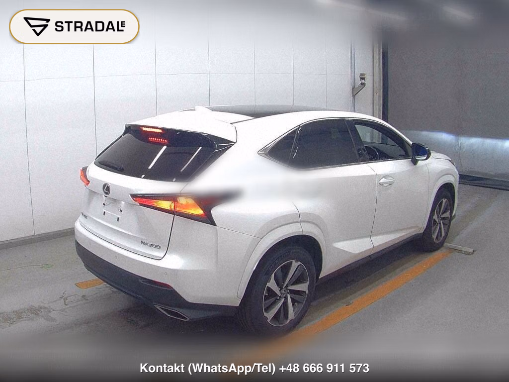 LEXUS NX NX300 SPECIAL EDITION SPICE AND CHIC, miniaturka 6
