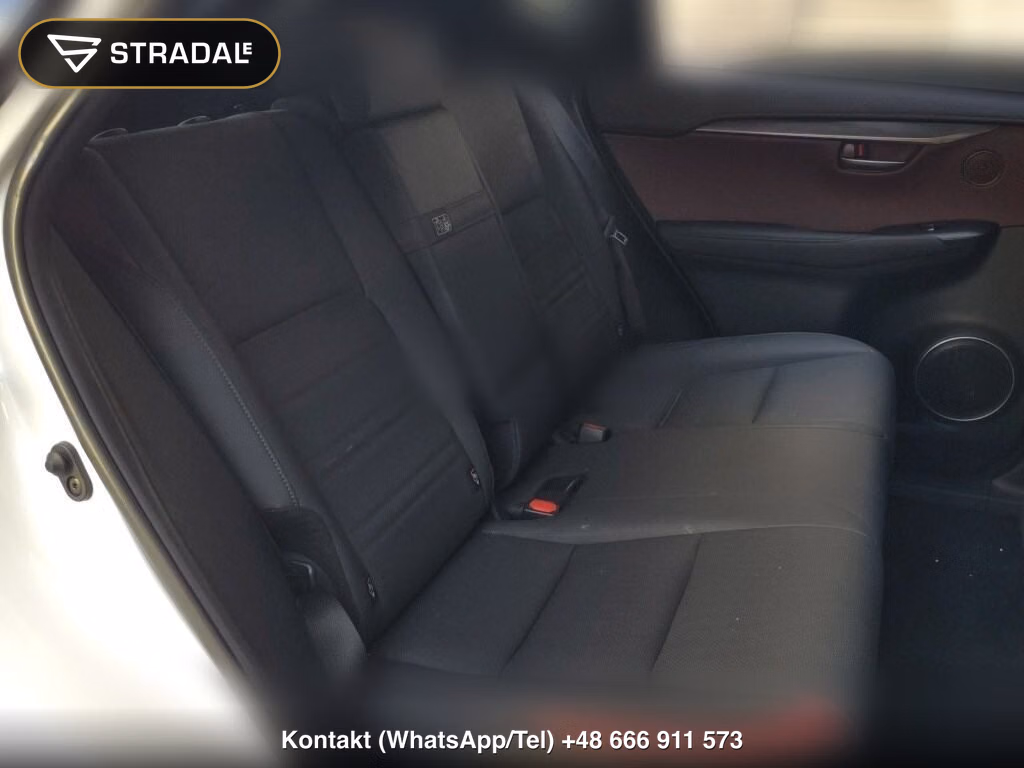 LEXUS NX NX300 SPECIAL EDITION SPICE AND CHIC, miniaturka 7