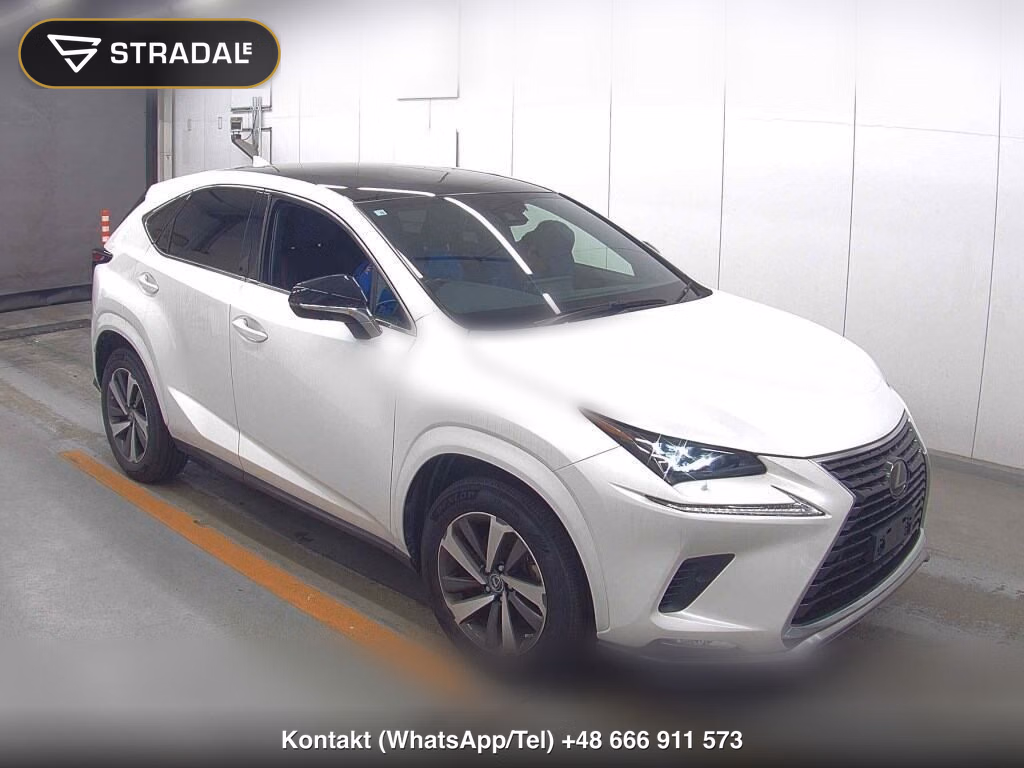 LEXUS NX NX300 SPECIAL EDITION SPICE AND CHIC 2020, aukcja z Japonii, zdjęcie 1