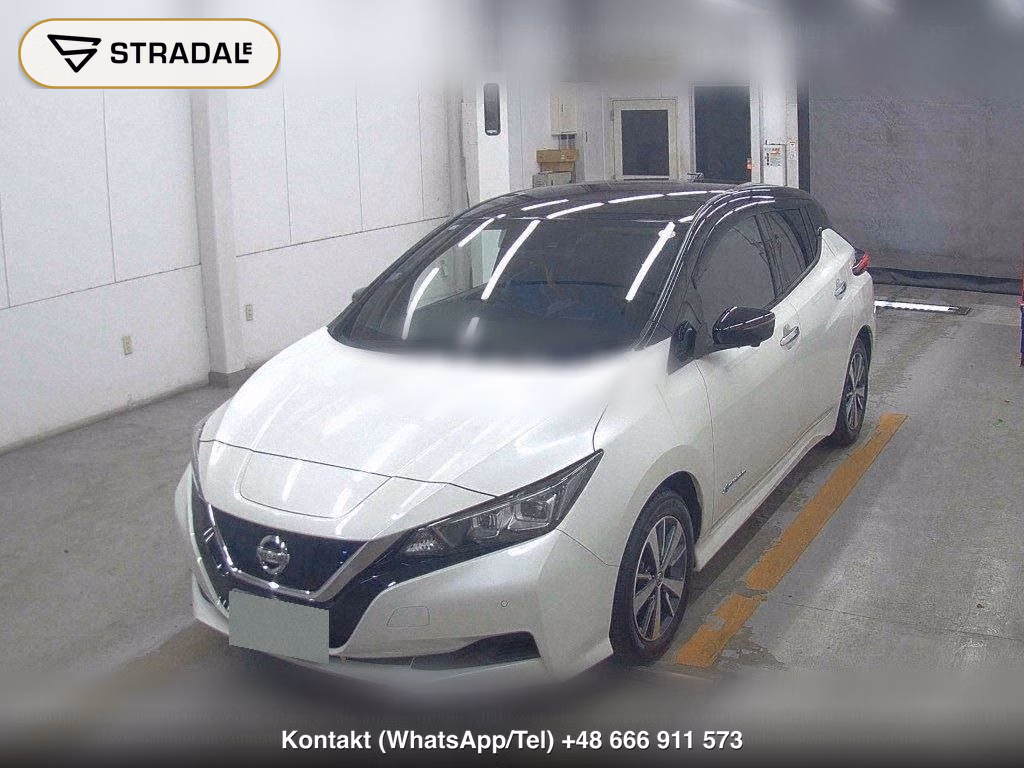 NISSAN LEAF X, miniaturka 5