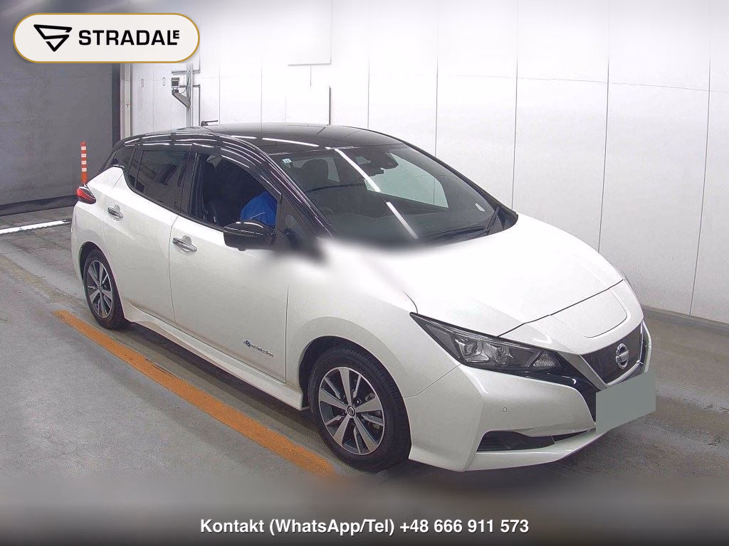 NISSAN LEAF X 2019, aukcja z Japonii, zdjęcie 1