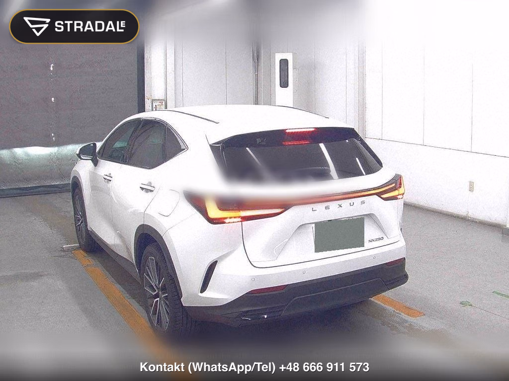 LEXUS NX NX250 VERSION L, miniaturka 3