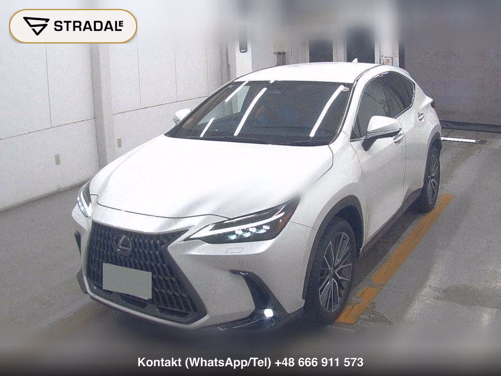LEXUS NX NX250 VERSION L, miniaturka 5