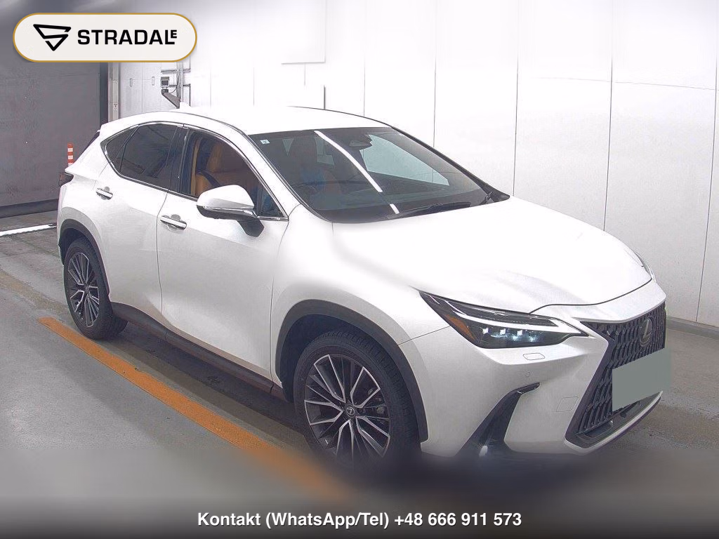 LEXUS NX NX250 VERSION L 2023, aukcja z Japonii, zdjęcie 1