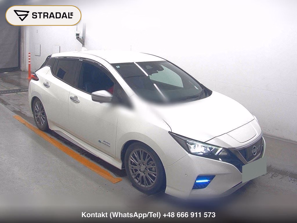 NISSAN LEAF AUTECH 2020, aukcja z Japonii, zdjęcie 1