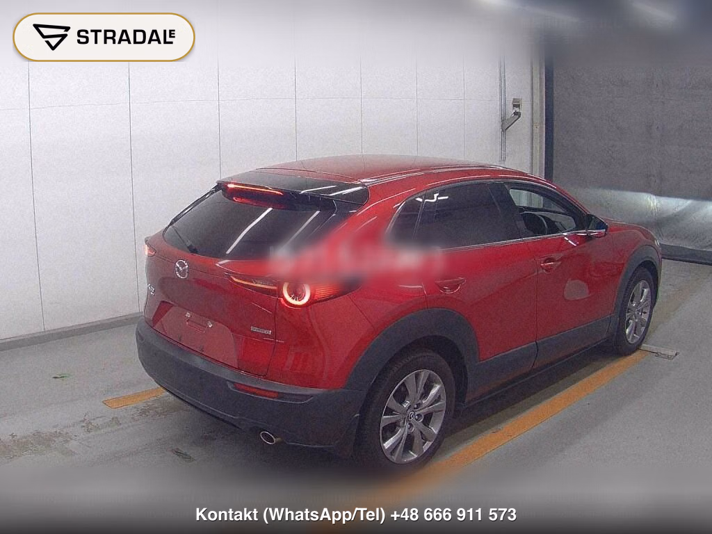 MAZDA CX-30 4WD XD L PACKAGE, miniaturka 6