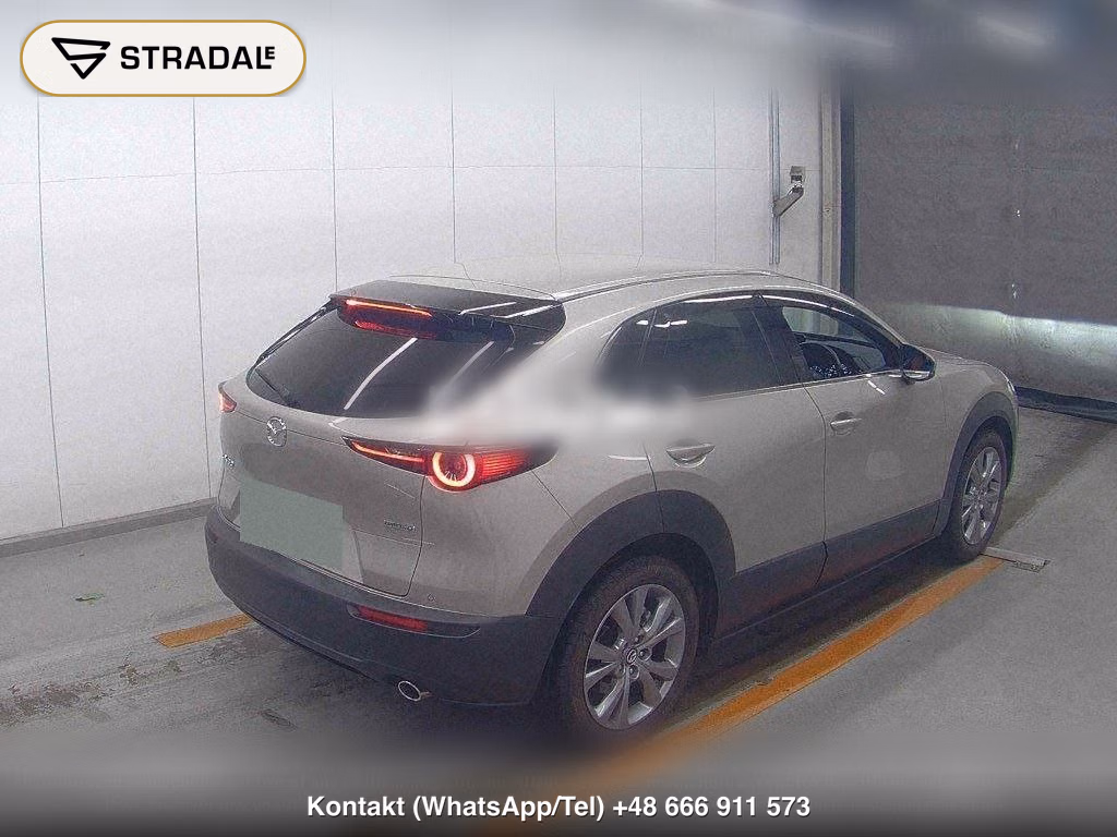 MAZDA CX-30 XD PROACTIVE TOURING SELECTION, miniaturka 6