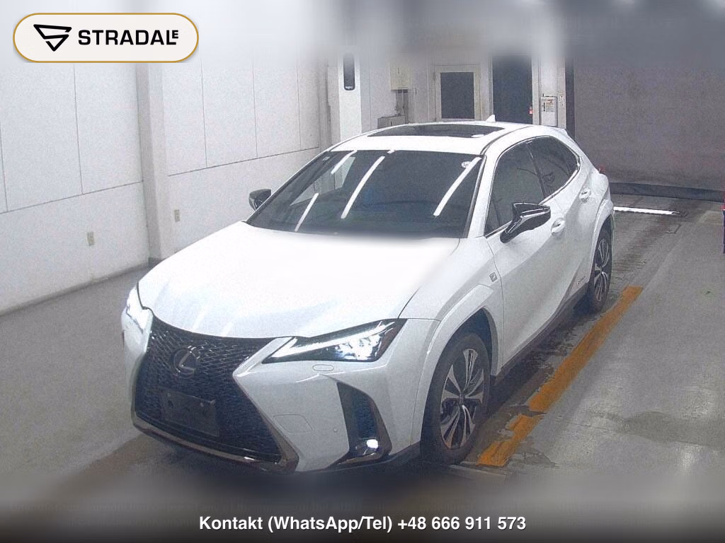 LEXUS UX UX250H F SPORT STYLE BLUE, miniaturka 5