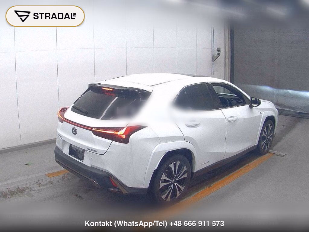 LEXUS UX UX250H F SPORT STYLE BLUE, miniaturka 6