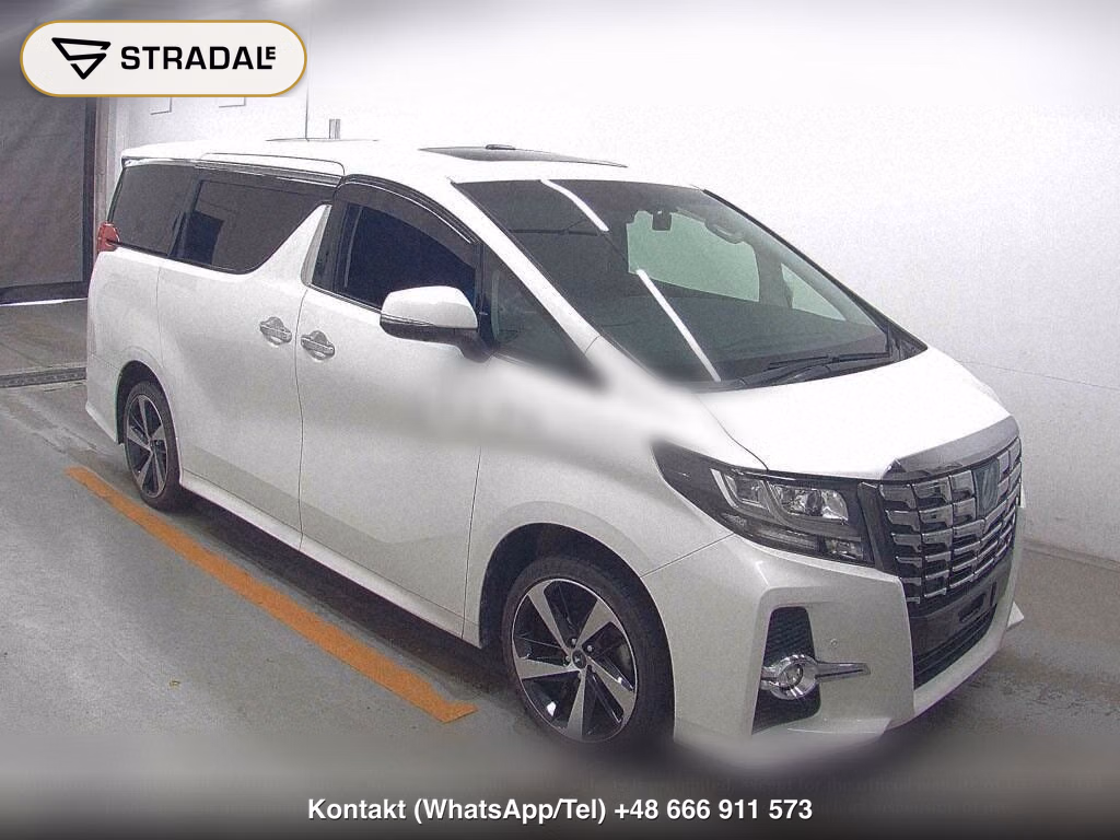 TOYOTA ALPHARD HYBRID 4WD SR, miniaturka 2
