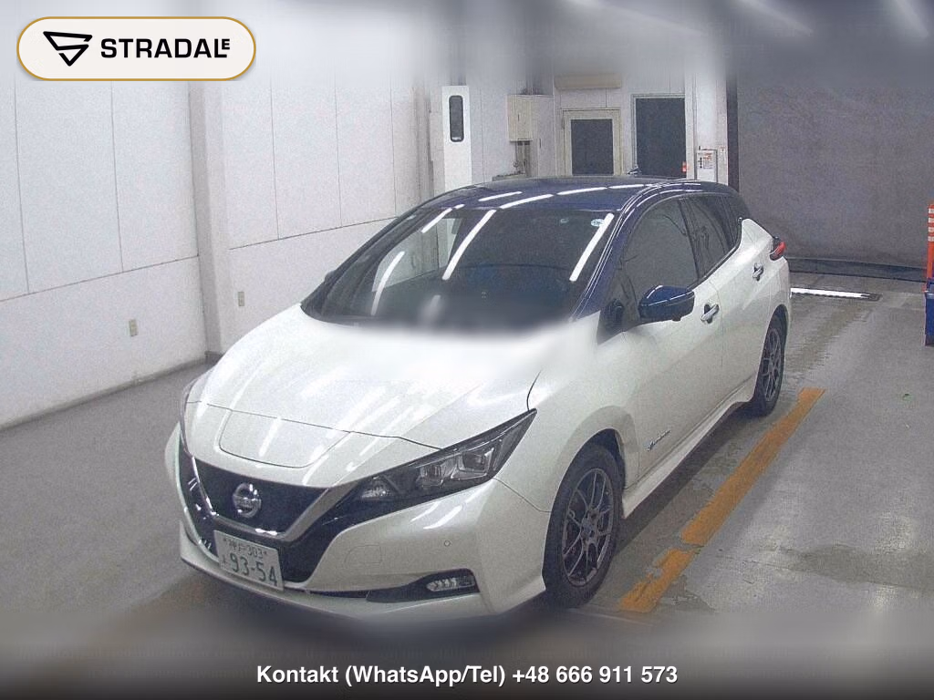 NISSAN LEAF E+ X, miniaturka 5