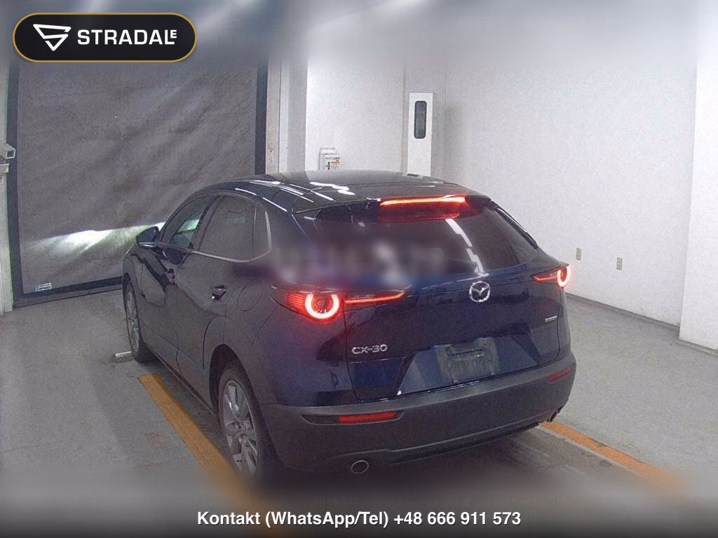 MAZDA CX-30 20S PROACTIVE TOURING SELECTION, miniaturka 3