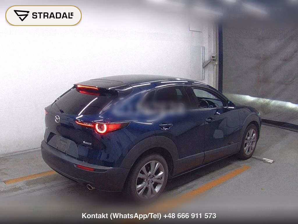 MAZDA CX-30 20S PROACTIVE TOURING SELECTION, miniaturka 6