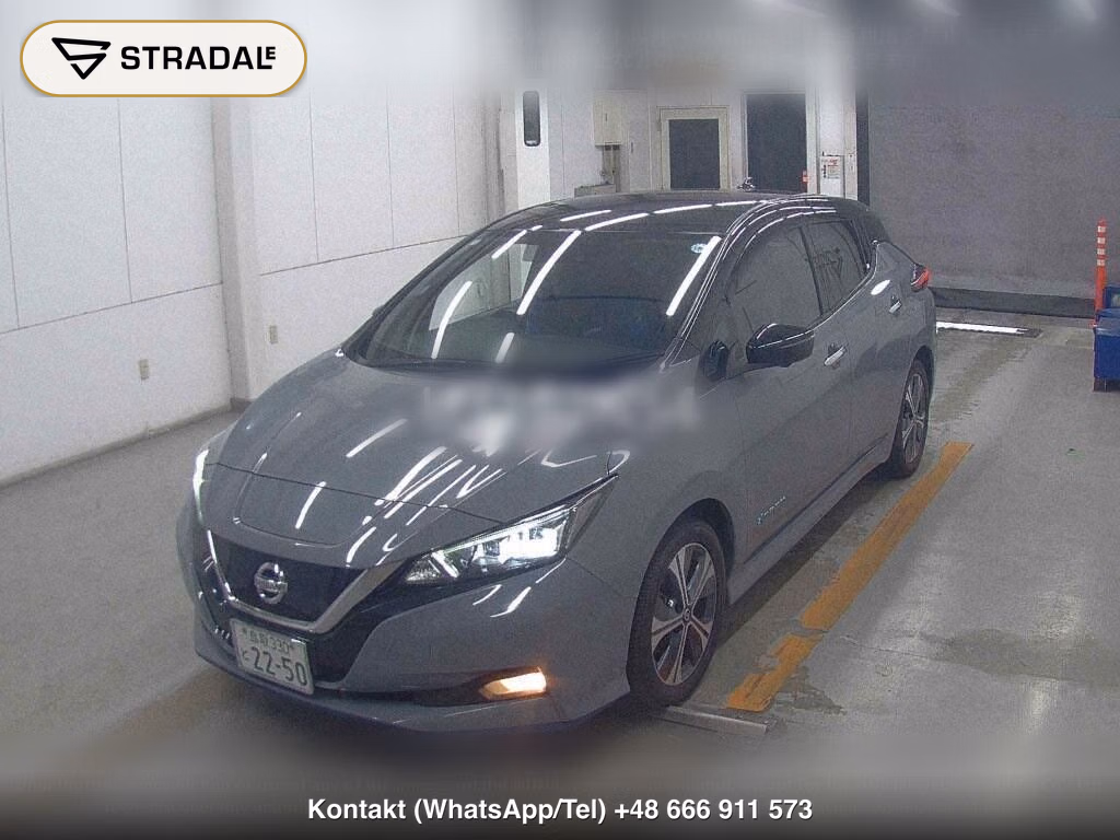 NISSAN LEAF E+ G, miniaturka 5