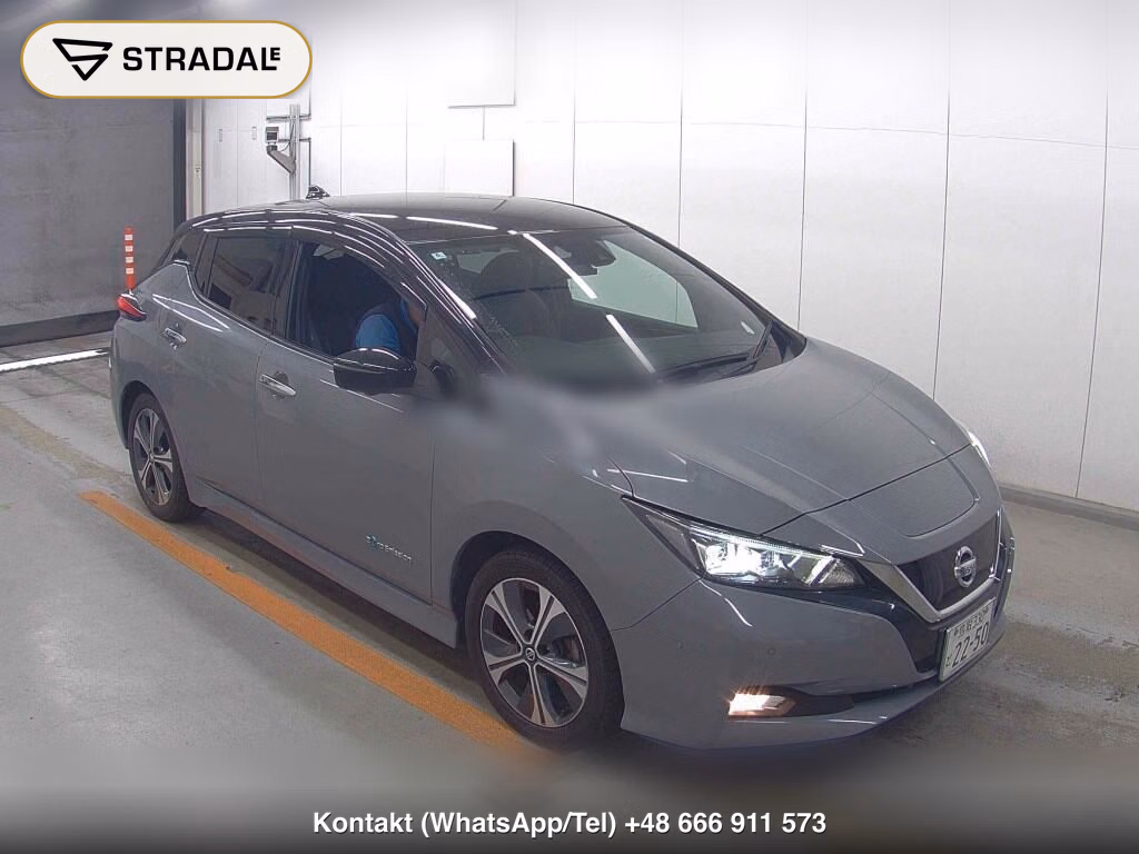 NISSAN LEAF E+ G 2020, aukcja z Japonii, zdjęcie 1