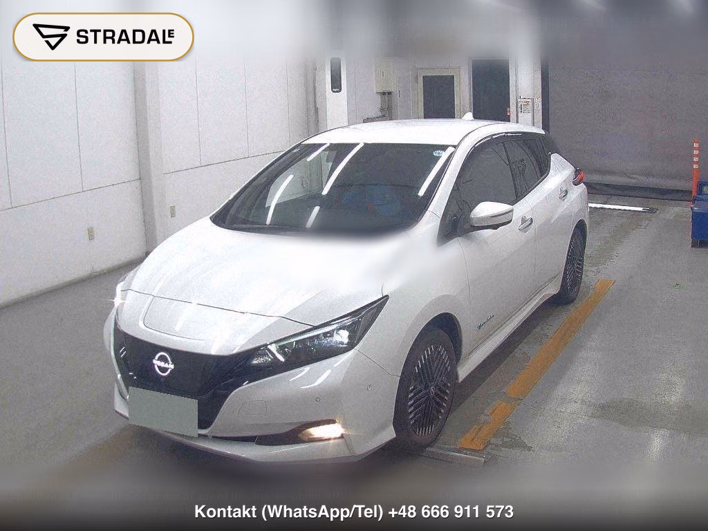 NISSAN LEAF E+ G, miniaturka 5