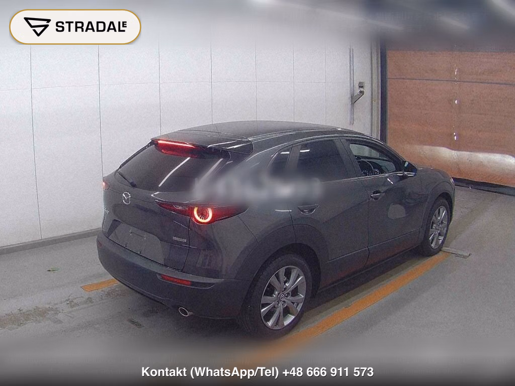 MAZDA CX-30 20S, miniaturka 6