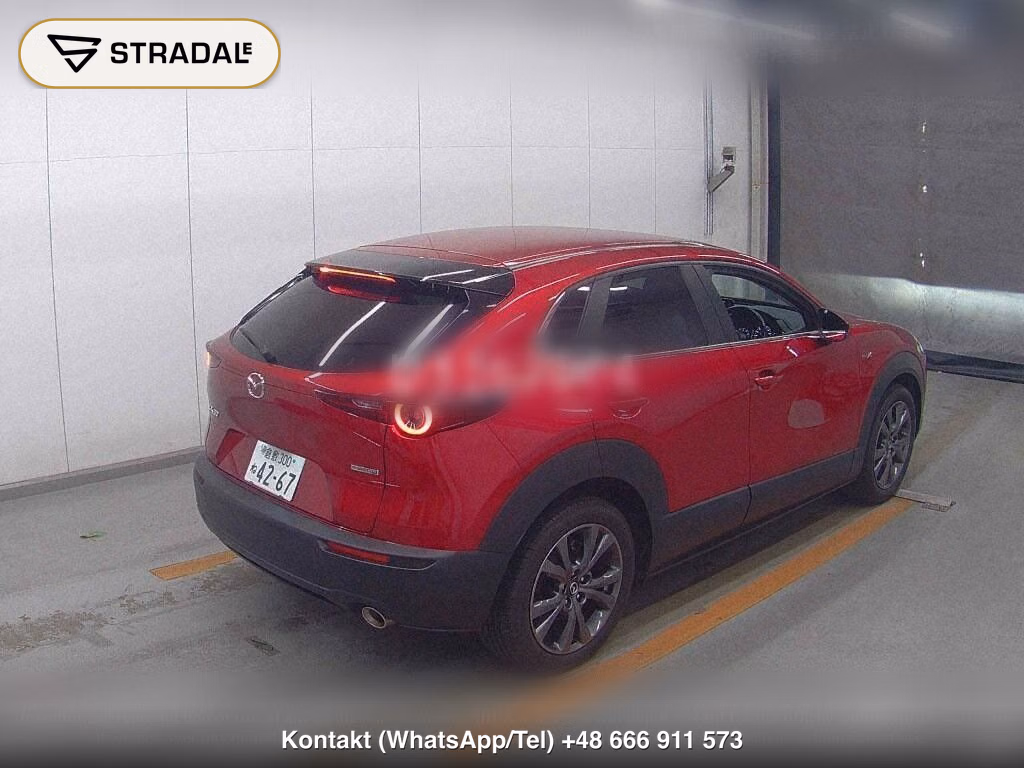 MAZDA CX-30 X SMART EDITION, miniaturka 6