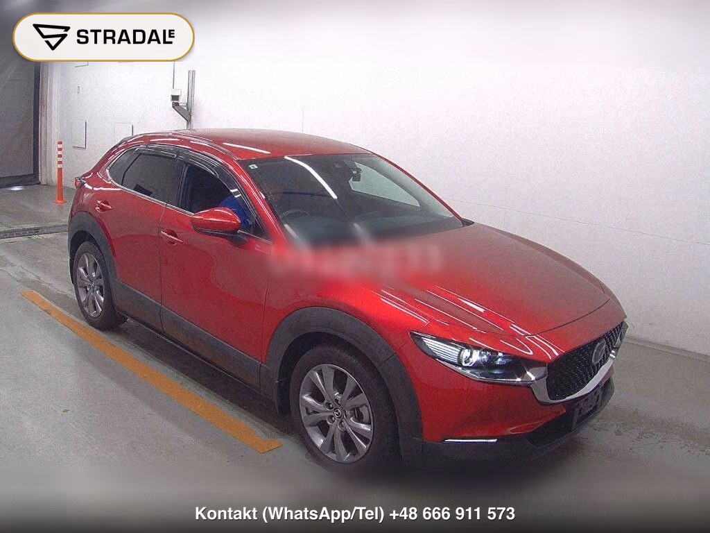 MAZDA CX-30 XD PROACTIVE TOURING SELECTION, miniaturka 2