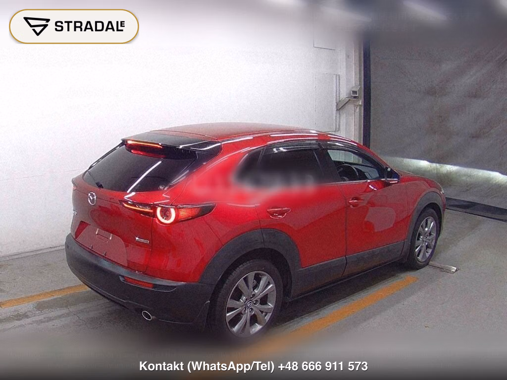 MAZDA CX-30 XD PROACTIVE TOURING SELECTION, miniaturka 6