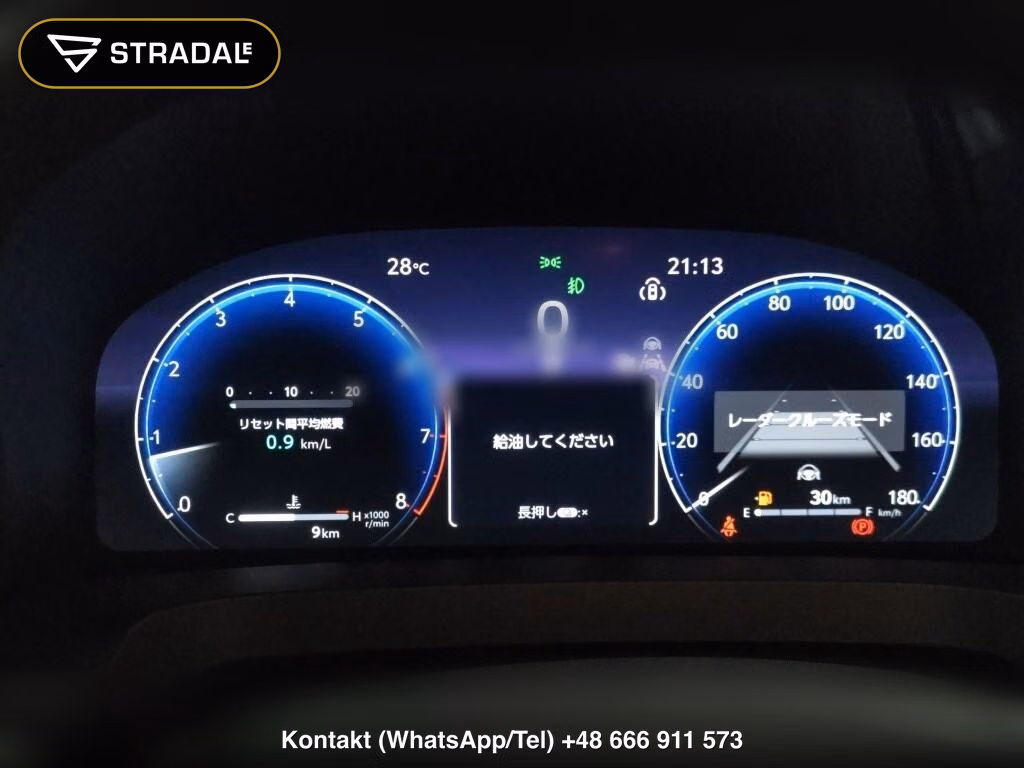 TOYOTA ALPHARD Z, miniaturka 7