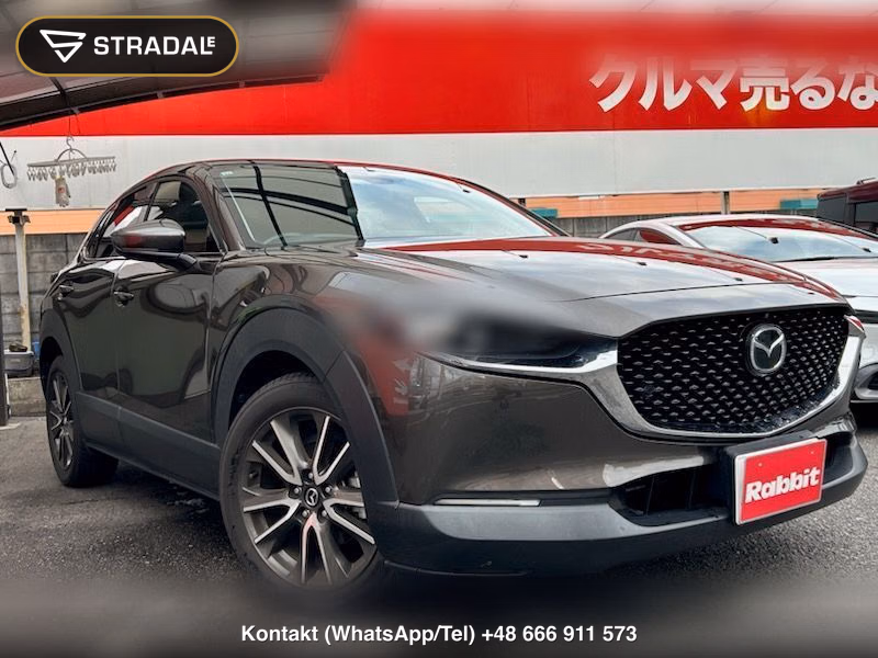 MAZDA CX-30 4WD XD PROACTIVE TOURING SELECTION, miniaturka 10