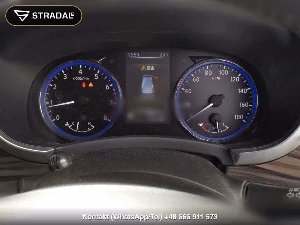 NISSAN ELGRAND 5D 250 HIGHWAY STAR S, miniaturka 7
