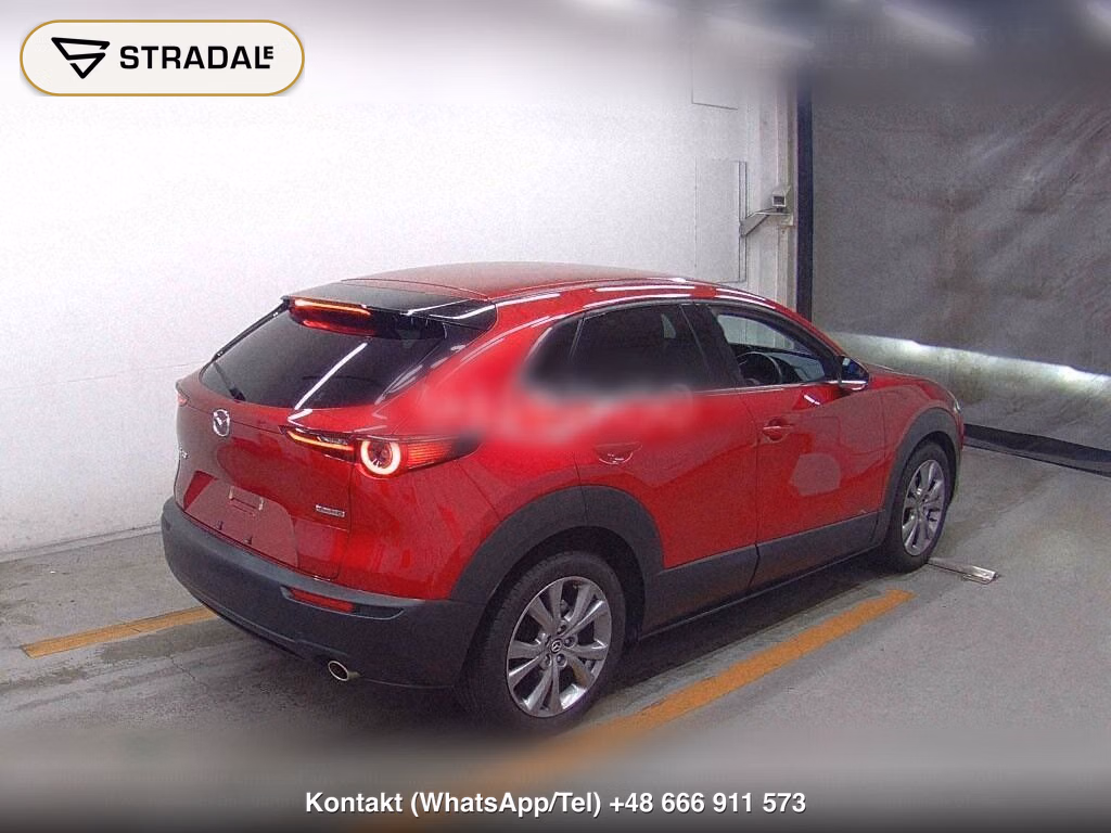 MAZDA CX-30 20S PROACTIVE, miniaturka 6