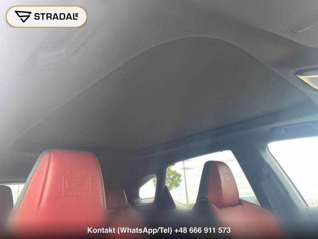 LEXUS RX 4WD F SPORT, miniaturka 11