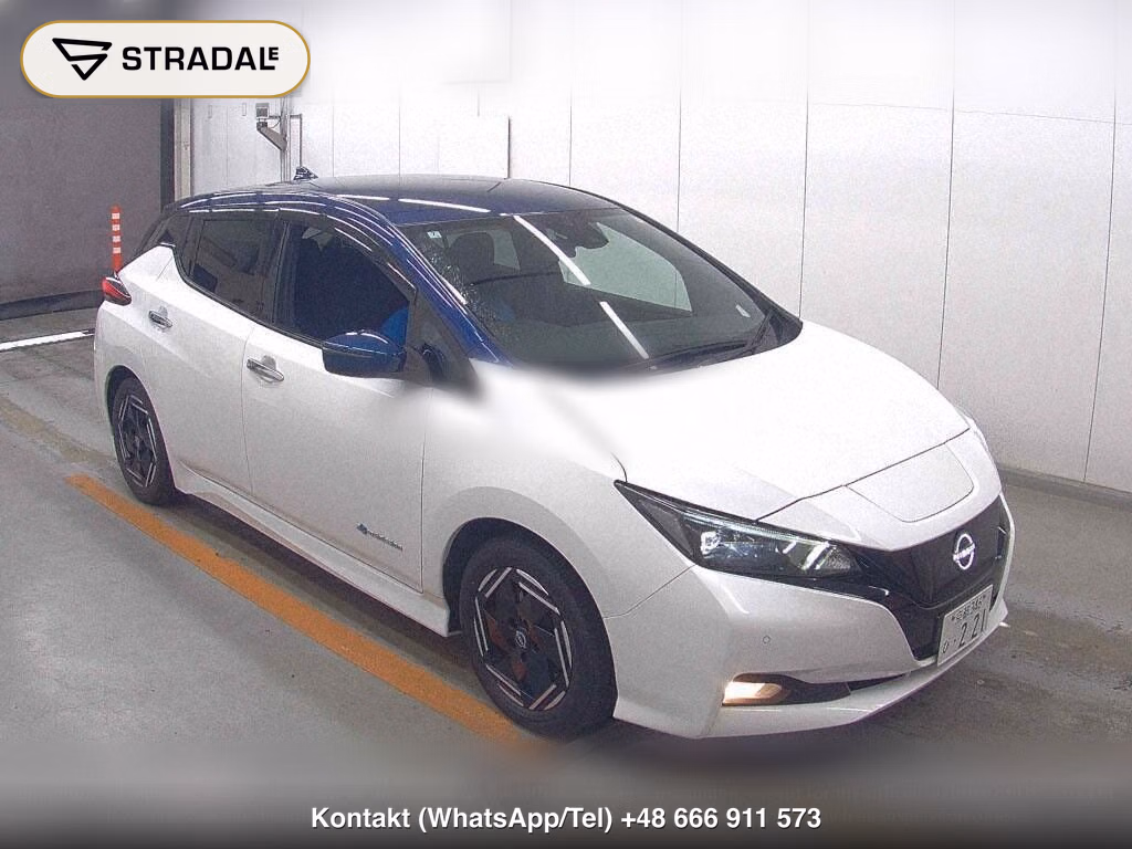 NISSAN LEAF X, miniaturka 2