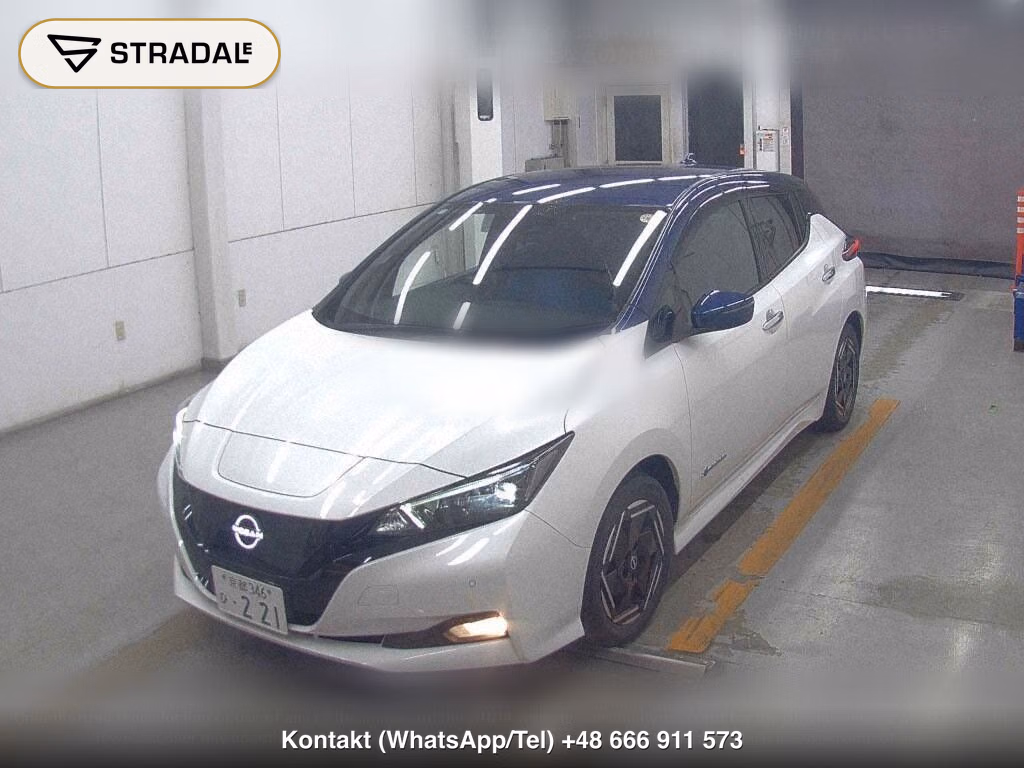 NISSAN LEAF X, miniaturka 5