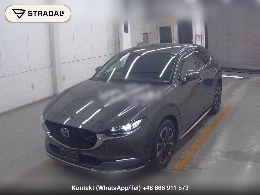 MAZDA CX-30 XD L PACKAGE, miniaturka 5