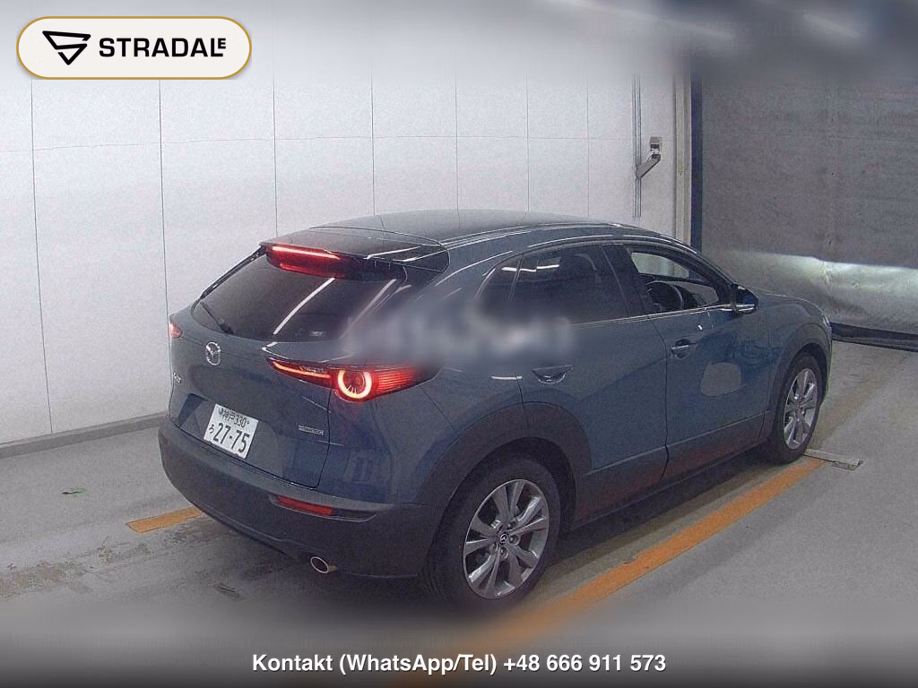 MAZDA CX-30 20S PROACTIVE TOURING SELECTION, miniaturka 6