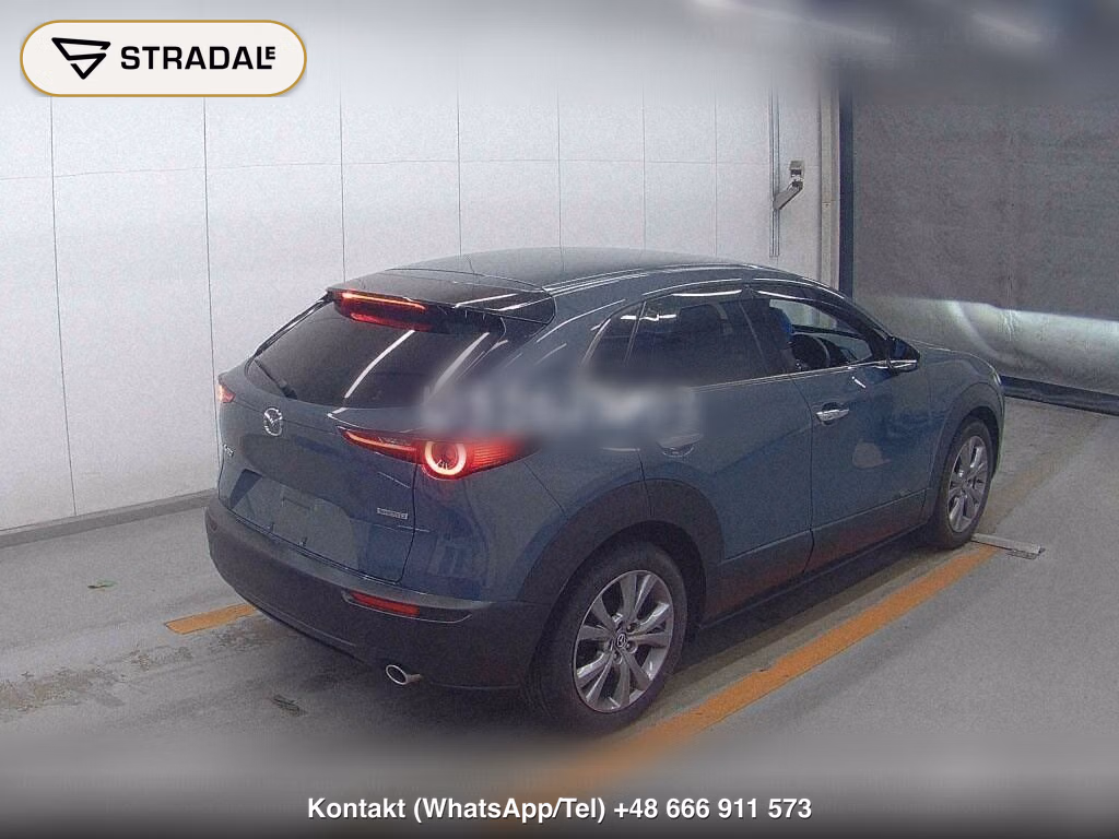 MAZDA CX-30 XD PROACTIVE TOURING SELECTION, miniaturka 6