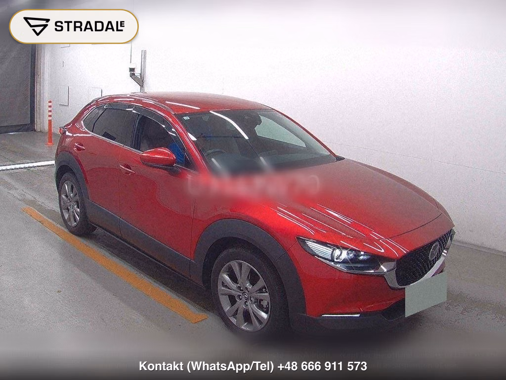 MAZDA CX-30 20S PROACTIVE TOURING SELECTION, miniaturka 2