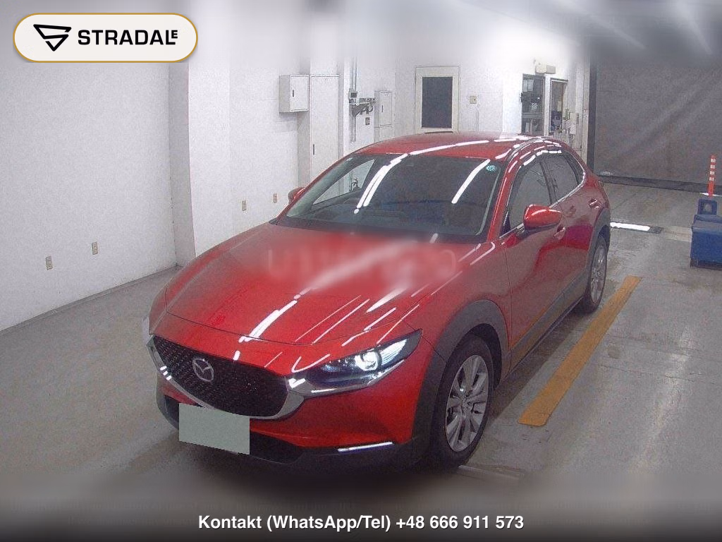 MAZDA CX-30 20S PROACTIVE TOURING SELECTION, miniaturka 5