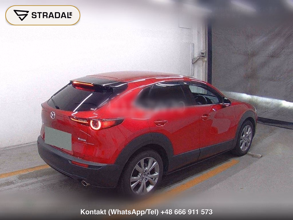 MAZDA CX-30 20S PROACTIVE TOURING SELECTION, miniaturka 6
