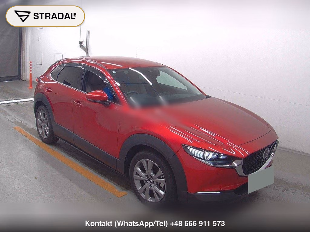 MAZDA CX-30 20S PROACTIVE TOURING SELECTION 2019, aukcja z Japonii, zdjęcie 1