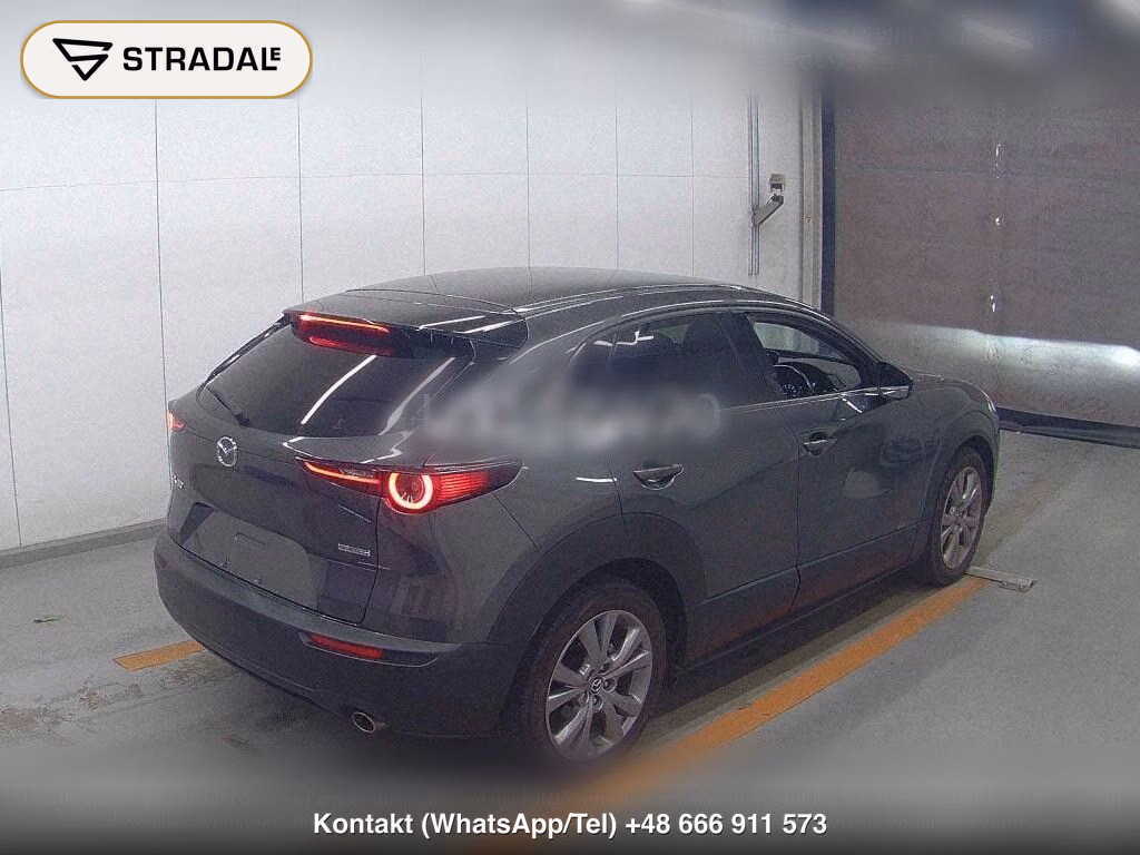 MAZDA CX-30 20S L PACKAGE, miniaturka 6