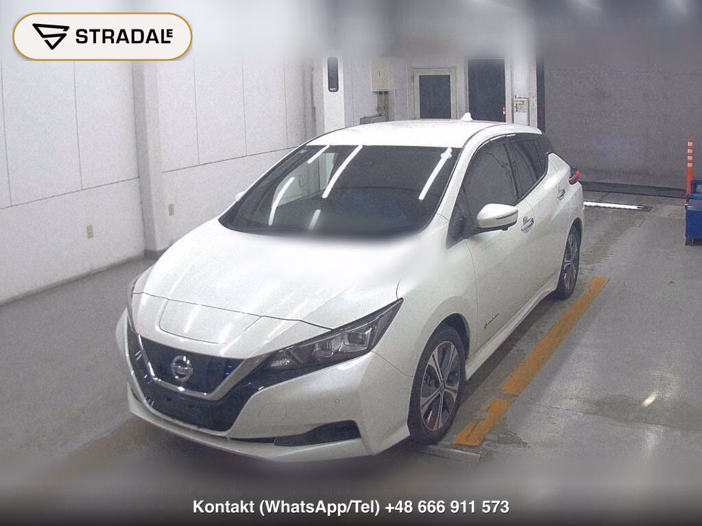 NISSAN LEAF X V SELECTION, miniaturka 5